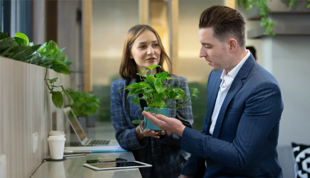 Environmental Tax Consulting